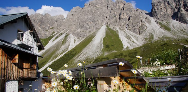 Accomodation & Events