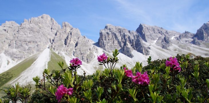 The Mountain Feeling