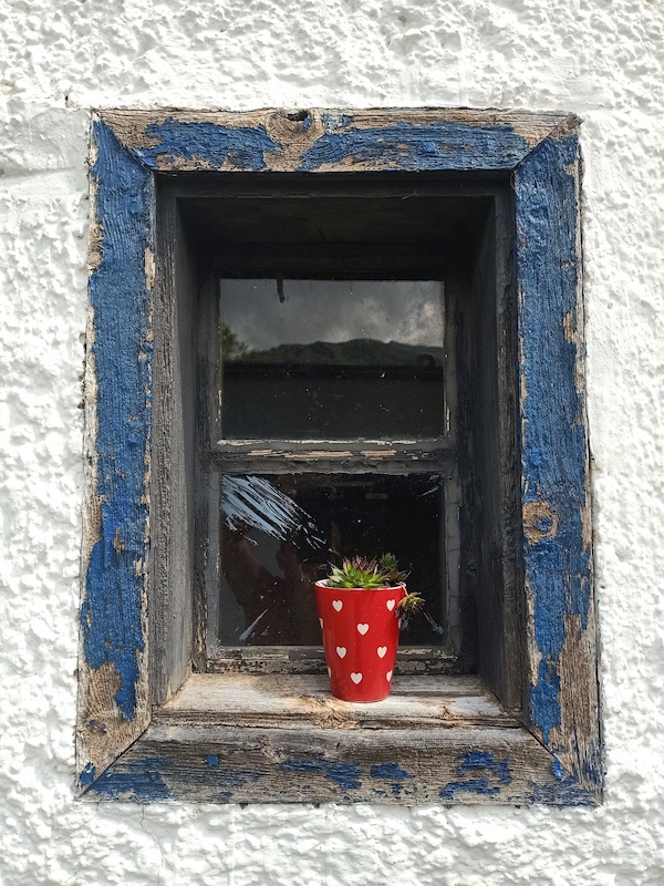 Fenster